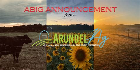 arundel aktie|Arundel AG Aktie .